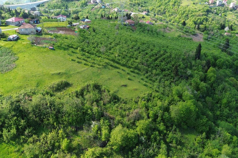 C21 UZMAN'DAN YEŞİLYURT'DA HER METRESİ YATIRIM,HER ADIMI MANZARA