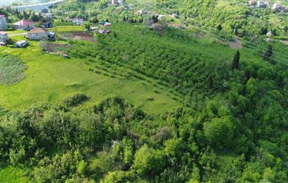 C21 UZMAN'DAN YEŞİLYURT'DA HER METRESİ YATIRIM,HER ADIMI MANZARA