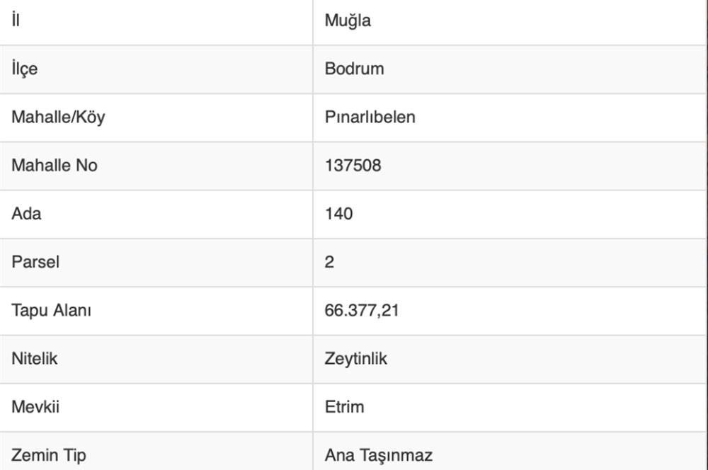 Pınarlıbelende 66 dönüm 1200+ Verimli Ağaçlık Zeytinlik