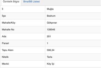 BODRUM GÖKPINAR'DA KÖY İÇİNDE 596 M² YATIRIMLIK TARLA - 1 - 37450