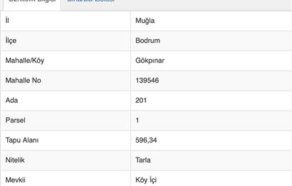 BODRUM GÖKPINAR'DA KÖY İÇİNDE 596 M² YATIRIMLIK TARLA