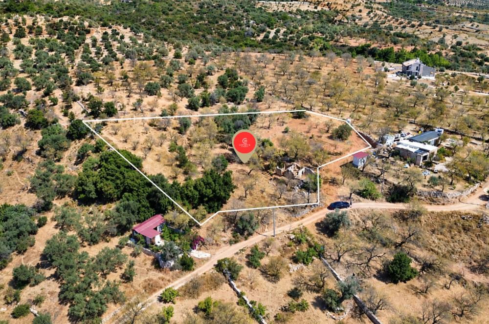 Datça Cumalı'da Konut İmarlı Satılık Arsa