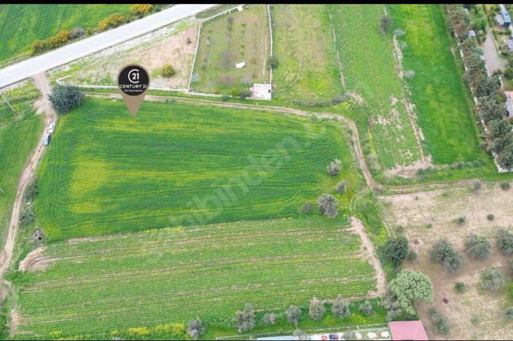 Datça Kızlan'da Satılık Fırsat Tarla