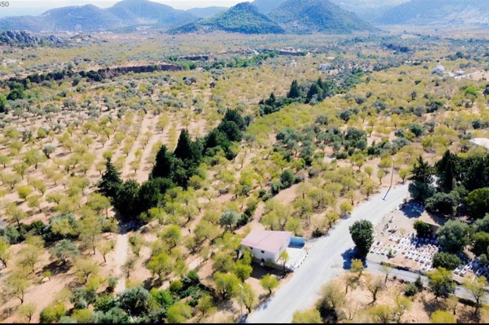 Datça Yaka Mah. Köyiçi İmarlı 1.634 m2 Satılık Bademlik