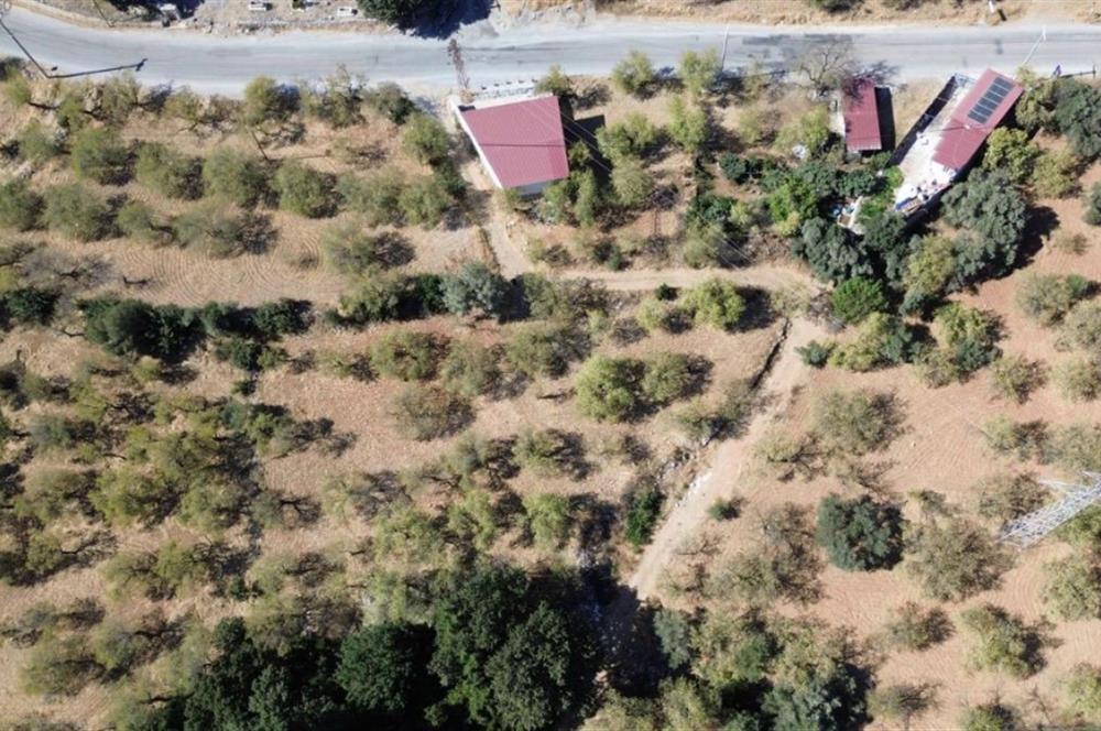 Datça Yaka Mah. Köyiçi İmarlı 1.634 m2 Satılık Bademlik