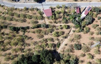 Datça Yaka Mah. Köyiçi İmarlı 1.634 m2 Satılık Bademlik