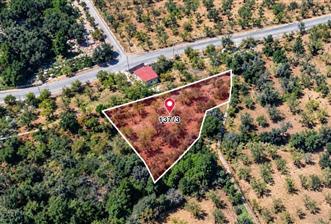 Datça Yaka Mah. Köyiçi İmarlı 1.634 m2 Satılık Bademlik - 1 - 37428