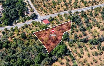 Datça Yaka Mah. Köyiçi İmarlı 1.634 m2 Satılık Bademlik