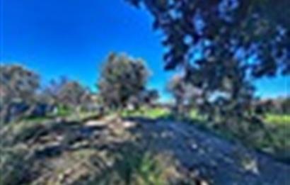 DATÇA KIZLANDA YOLA CEPHELİ, TINY HOUSE UYGUN, DÜZ ZEMİN TARLA