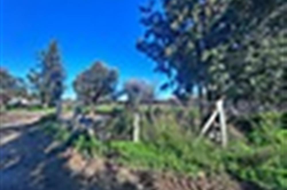 DATÇA KIZLANDA YOLA CEPHELİ, TINY HOUSE UYGUN, DÜZ ZEMİN TARLA