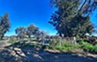 DATÇA KIZLANDA YOLA CEPHELİ, TINY HOUSE UYGUN, DÜZ ZEMİN TARLA