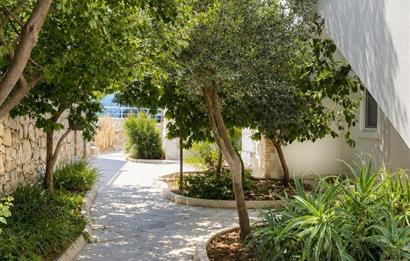 Bodrum Bitez Marinaya Komşu Müstakil Villa