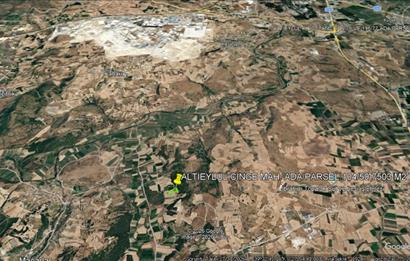 CENTURY21 BAL'DAN ALTIEYLÜL CİNGE MAHALLESİNDE SATILIK TARLA