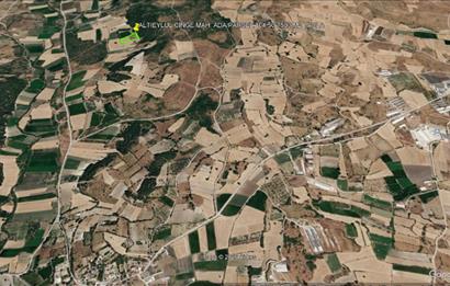 CENTURY21 BAL'DAN ALTIEYLÜL CİNGE MAHALLESİNDE SATILIK TARLA