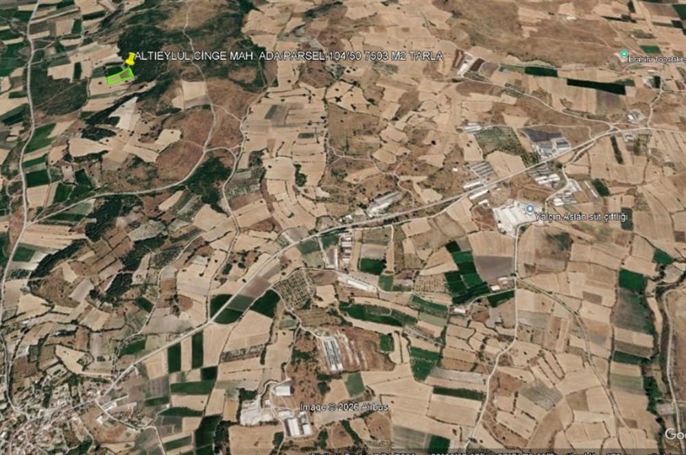 CENTURY21 BAL'DAN ALTIEYLÜL CİNGE MAHALLESİNDE SATILIK TARLA