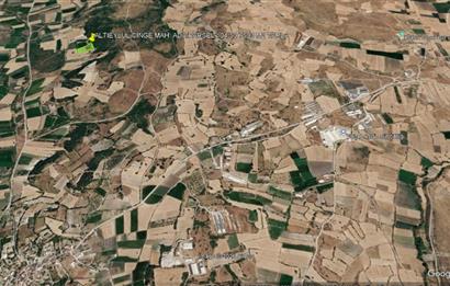 CENTURY21 BAL'DAN ALTIEYLÜL CİNGE MAHALLESİNDE SATILIK TARLA