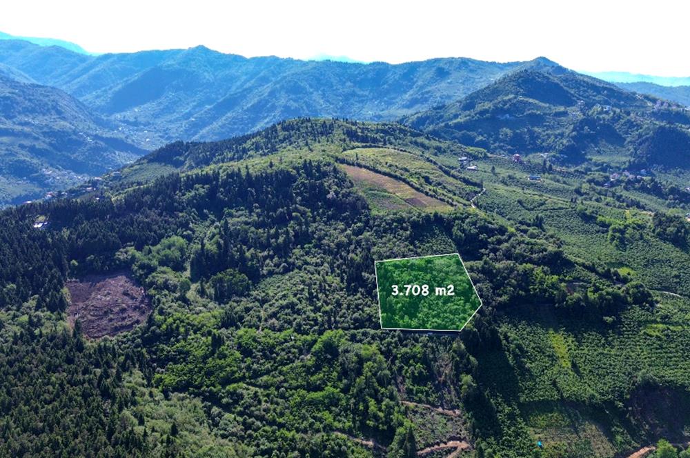 C21 UZMANDAN KAMIŞLI'DA DENİZ MANZARALI TURİZM POTANSİYELLİ ARSA