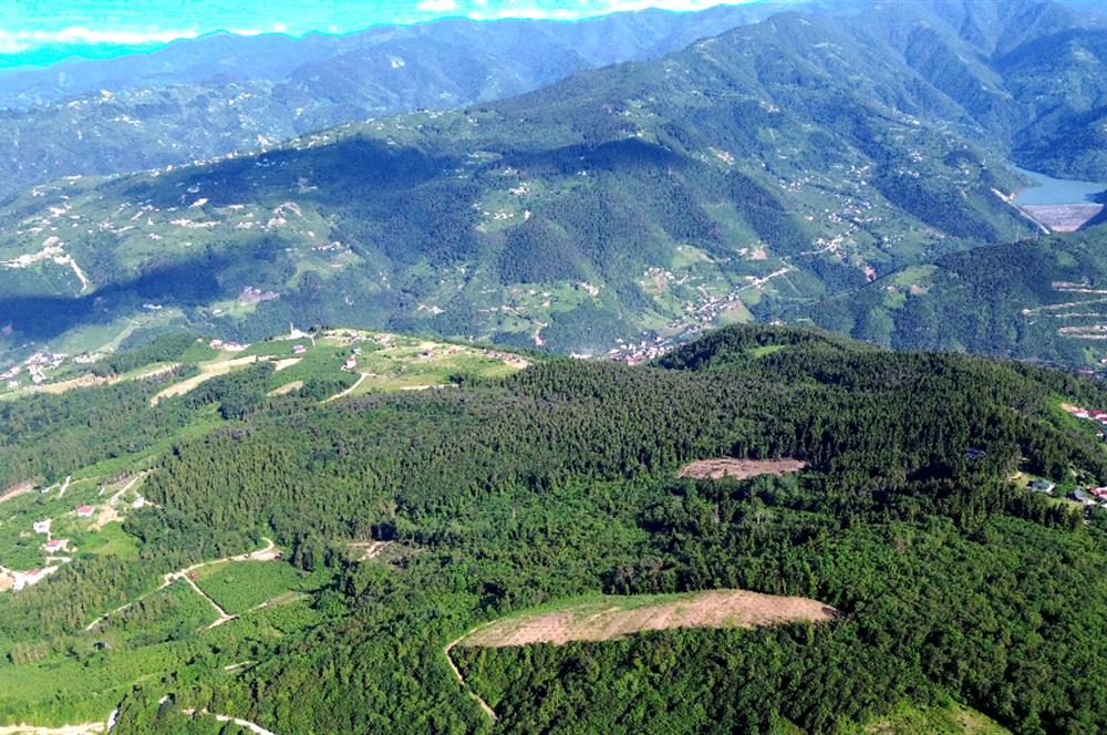 C21 UZMANDAN KAMIŞLI'DA DENİZ MANZARALI TURİZM POTANSİYELLİ ARSA