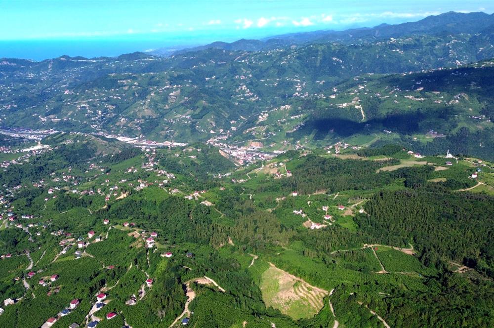 C21 UZMANDAN KAMIŞLI'DA DENİZ MANZARALI TURİZM POTANSİYELLİ ARSA