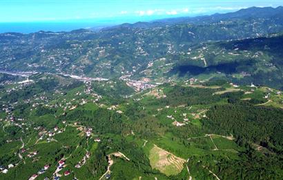 C21 UZMANDAN KAMIŞLI'DA DENİZ MANZARALI TURİZM POTANSİYELLİ ARSA