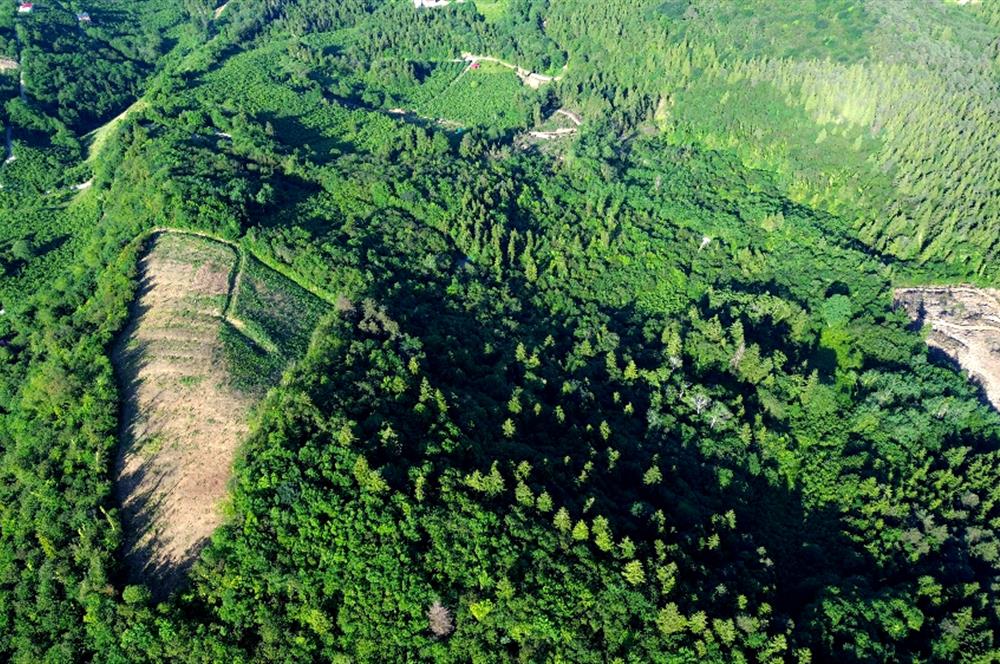 C21 UZMANDAN KAMIŞLI'DA DENİZ MANZARALI TURİZM POTANSİYELLİ ARSA