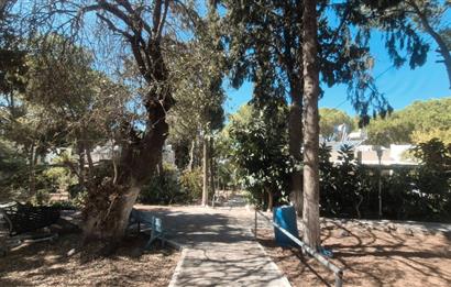 Bodrum Turgutreis Soytaş Tatil Köyü 3 Dönem Satılık 1+1 Devremülk