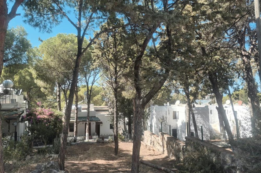 Bodrum Turgutreis Soytaş Tatil Köyü 3 Dönem Satılık 1+1 Devremülk