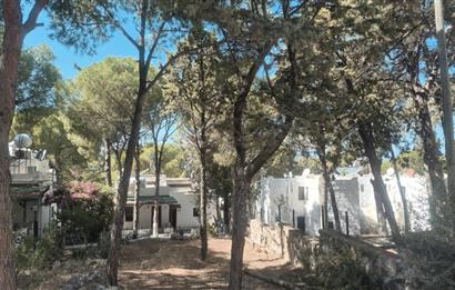 Bodrum Turgutreis Soytaş Tatil Köyü 3 Dönem Satılık 1+1 Devremülk