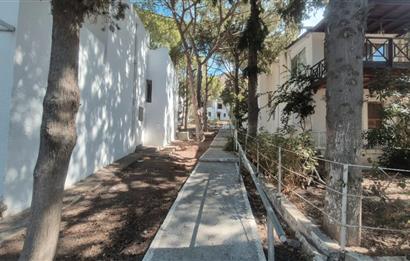 Bodrum Turgutreis Soytaş Tatil Köyü 3 Dönem Satılık 1+1 Devremülk