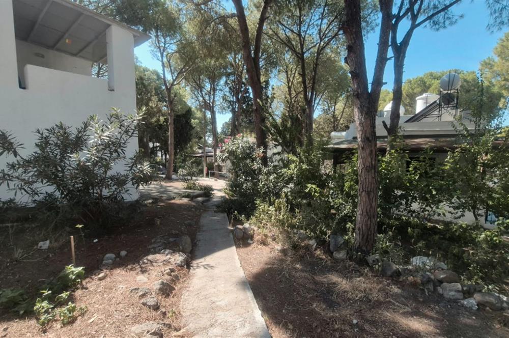 Bodrum Turgutreis Soytaş Tatil Köyü 3 Dönem Satılık 1+1 Devremülk