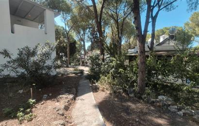 Bodrum Turgutreis Soytaş Tatil Köyü 3 Dönem Satılık 1+1 Devremülk