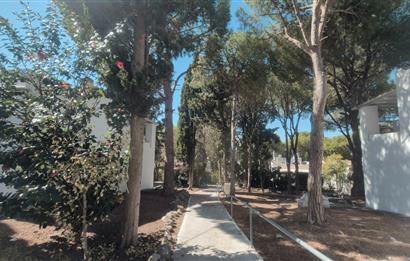 Bodrum Turgutreis Soytaş Tatil Köyü 3 Dönem Satılık 1+1 Devremülk