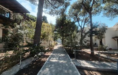 Bodrum Turgutreis Soytaş Tatil Köyü 3 Dönem Satılık 1+1 Devremülk