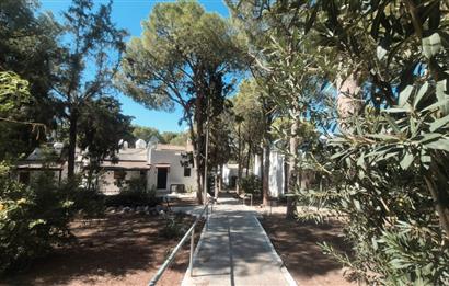 Bodrum Turgutreis Soytaş Tatil Köyü 3 Dönem Satılık 1+1 Devremülk