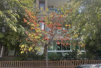 Ergenekon Mahallesinde Bahçeli Yaşam Arayanlara 3+1 Daire - 2 - 37584
