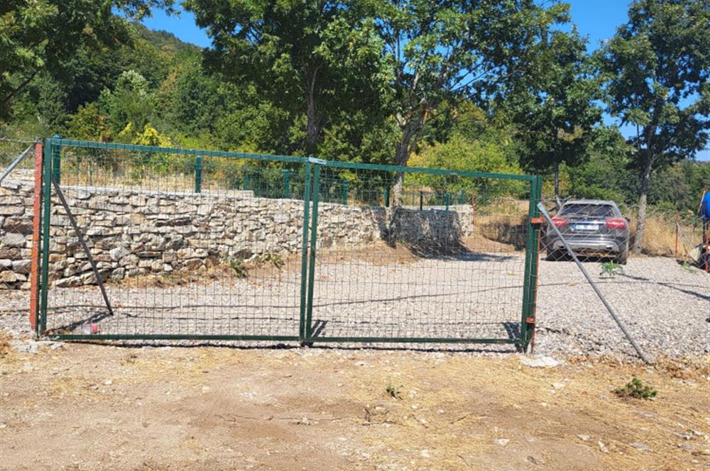 DOĞAYLA İÇ İÇE KEYİFLİ BİR YAŞAM