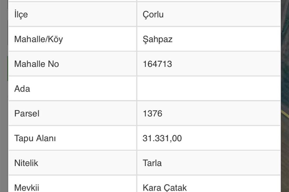TEKİRDAĞ ÇORLU ŞAHPAZ'DA MÜSTAKİL TAPULU SATILIK TARLA