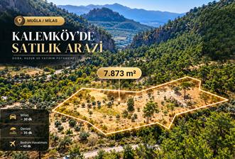 Muğla Milas Kalemköy’de 7.873 m² Satılık Arazi - 1 - 37626