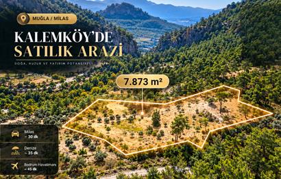 Muğla Milas Kalemköy’de 7.873 m² Satılık Arazi