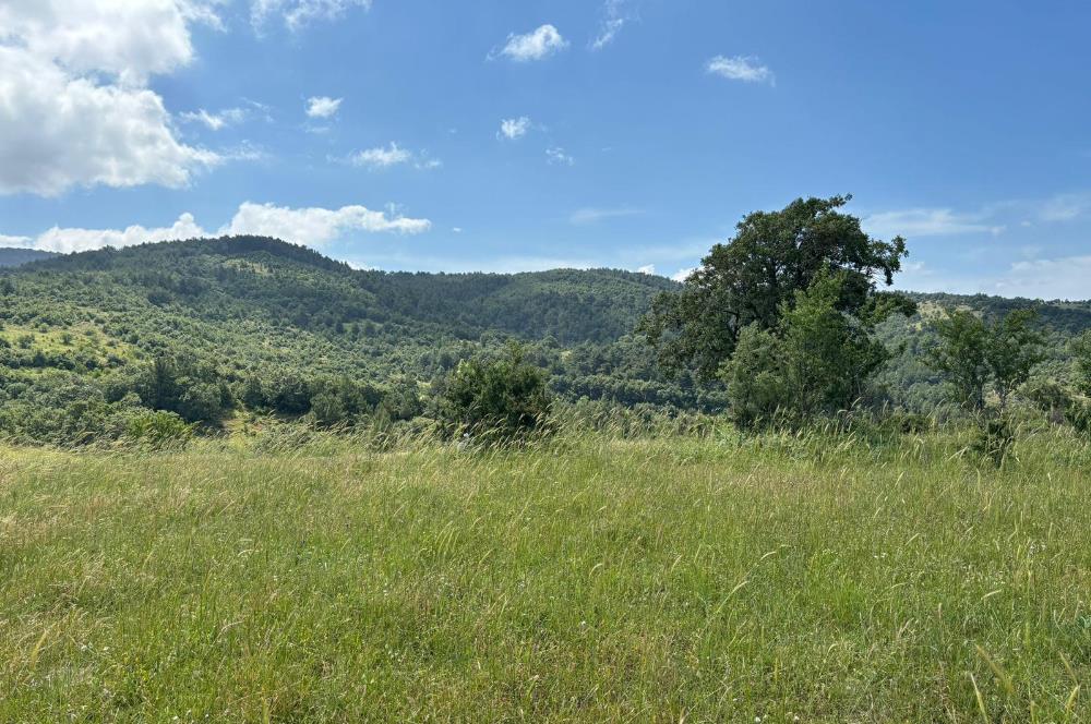 ÇANAKKALE BAYRAMİÇ KAYKILAR'DA 7.224 M² YOLA CEPHELİ TARLA