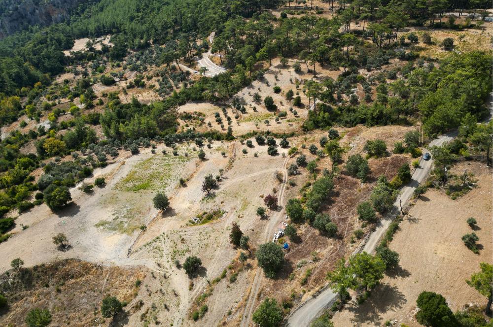Muğla Milas Kalemköy’de 7.873 m² Satılık Arazi