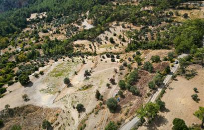 Muğla Milas Kalemköy’de 7.873 m² Satılık Arazi