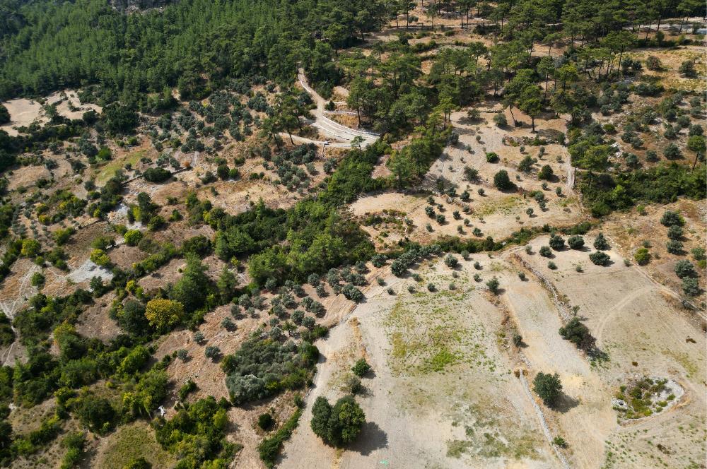 Muğla Milas Kalemköy’de 7.873 m² Satılık Arazi