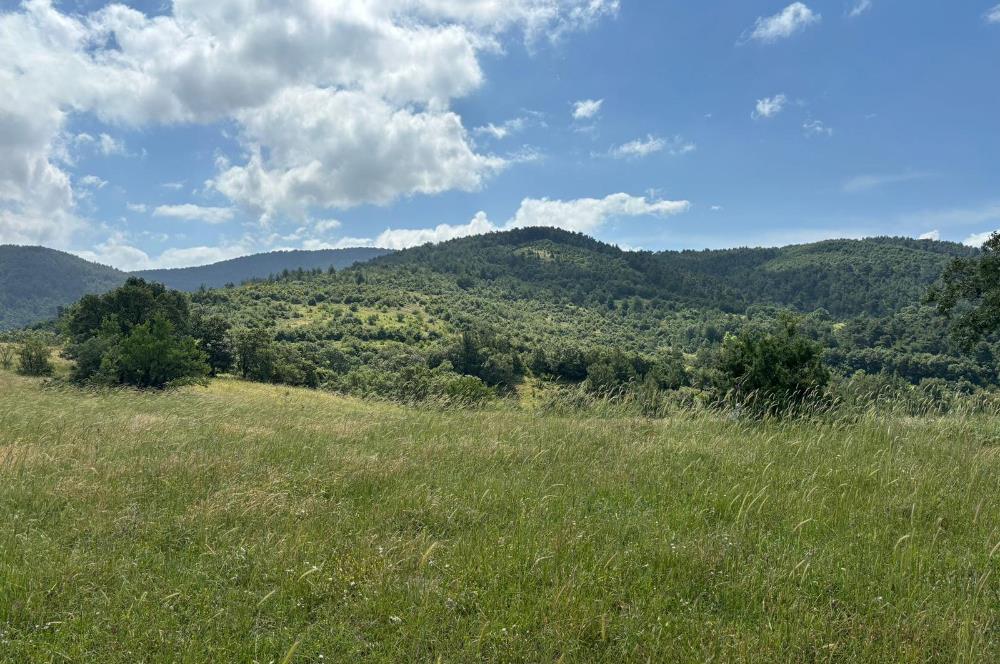 ÇANAKKALE BAYRAMİÇ KAYKILAR'DA 7.224 M² YOLA CEPHELİ TARLA