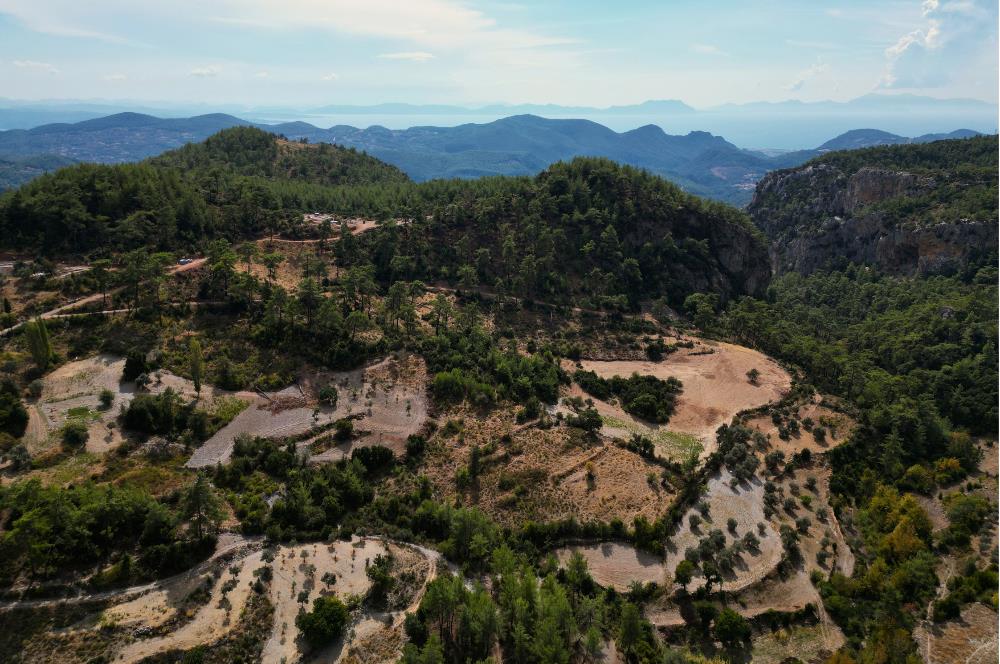 Muğla Milas Kalemköy’de 7.873 m² Satılık Arazi