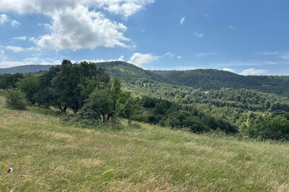 ÇANAKKALE BAYRAMİÇ KAYKILAR'DA 7.224 M² YOLA CEPHELİ TARLA