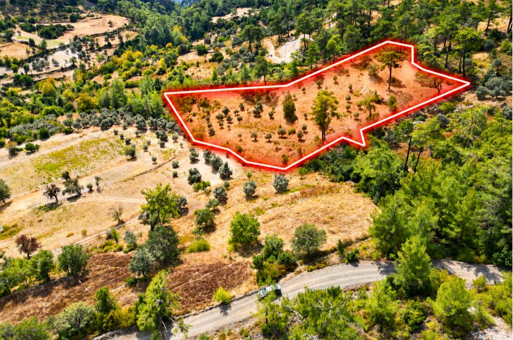 Muğla Milas Kalemköy’de 7.873 m² Satılık Arazi