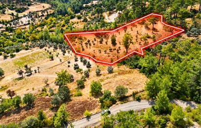 Muğla Milas Kalemköy’de 7.873 m² Satılık Arazi