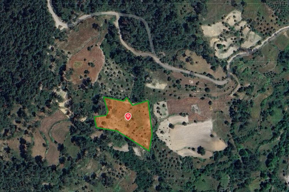 Muğla Milas Kalemköy’de 7.873 m² Satılık Arazi