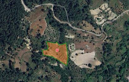 Muğla Milas Kalemköy’de 7.873 m² Satılık Arazi